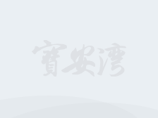 “滨海宝安”将向市民赠送深中通道纪念徽章